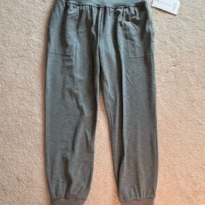 Women’s BRAND NEW Athleta Salutation Jogger